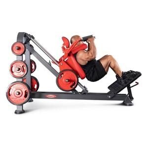 hack squat leg press alternative