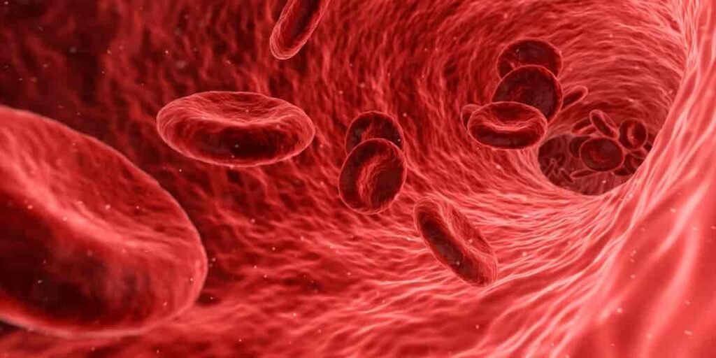 How to Measure Normal Blood Oxygen Level in Human