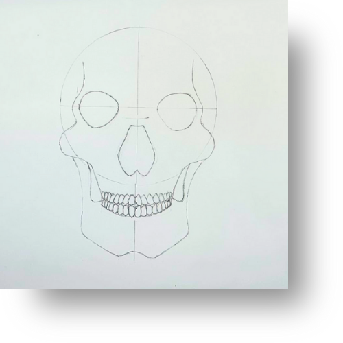 Easy Skull Drawing for Advanced