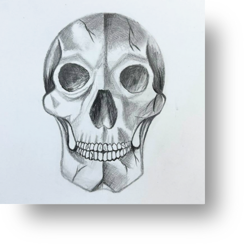 Easy Skull Drawing for Advanced