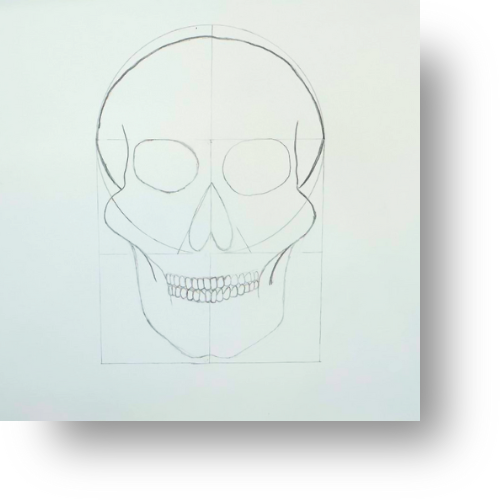 Easy Skull Drawing for Beginners