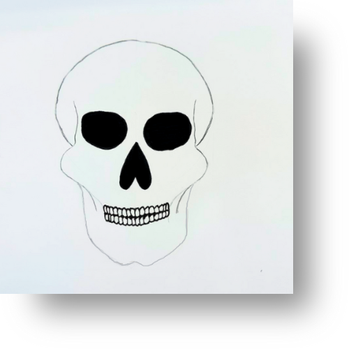 Easy Skull Drawing for Beginners