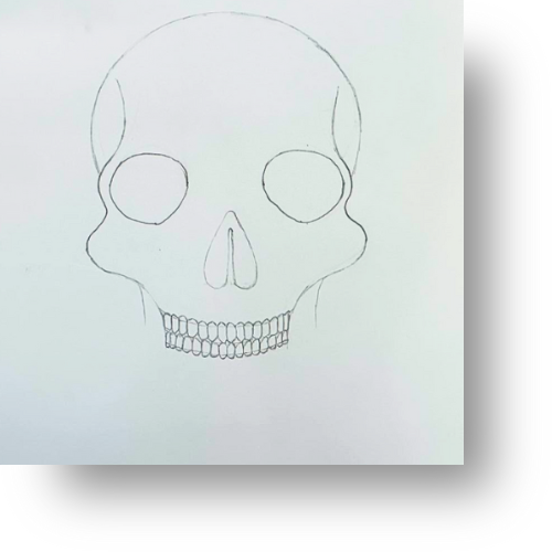 Easy Skull Drawing for Intermediates