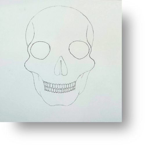 Easy Skull Drawing for Intermediates