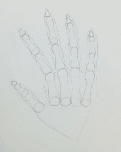 Drawing a skeleton hand