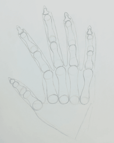 Drawing a skeleton hand