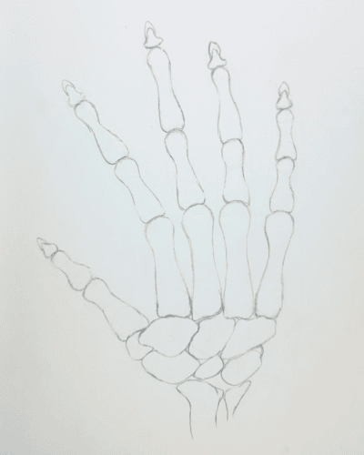 Drawing a skeleton hand