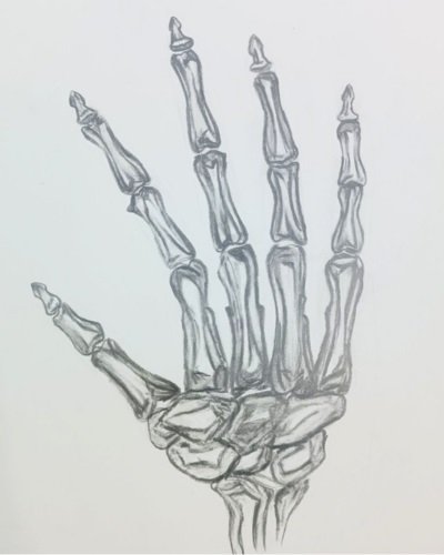 Drawing a skeleton hand