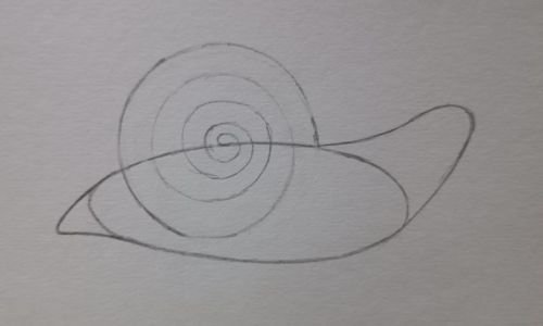 How to draw snail