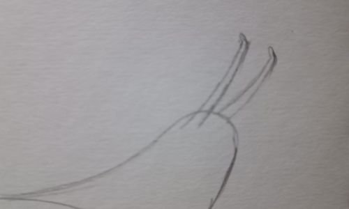 Step- Draw Snail