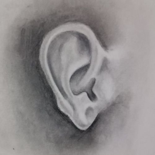 Drawing of ear Hyper realistic