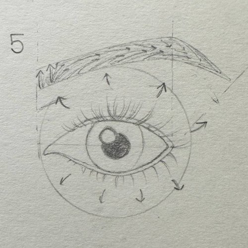 drawing of an eye