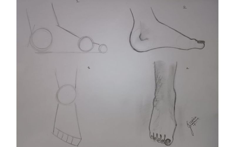 Drawing of foot