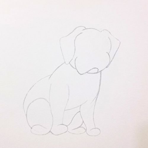 How to Draw a dog