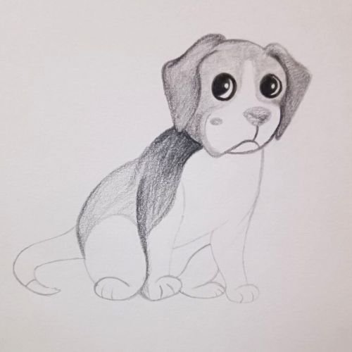 Shading on Dog