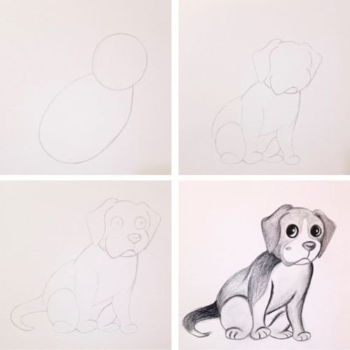 Dog Drawing Step by Step
