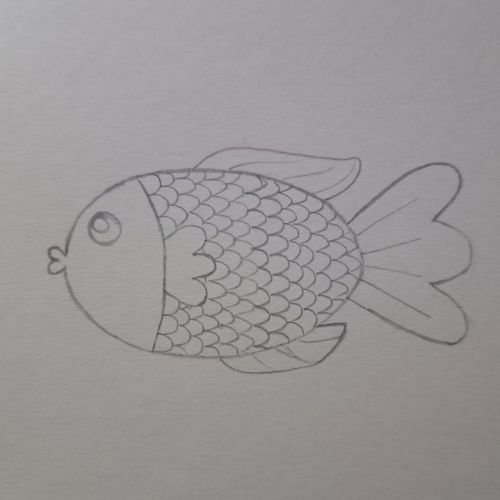 Easy Fish Drawing