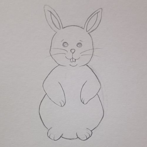 how to draw Bunny Rabbit