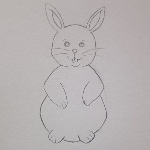 Rabbit Drawing