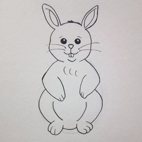 Bunny Rabbit Drawing 