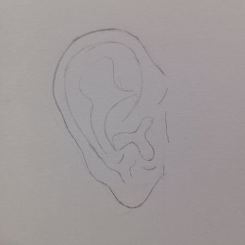 Easy Drawing of Ear - Artwithlifestyle