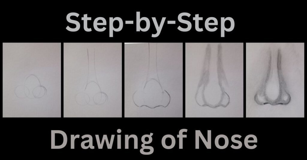 Drawing of the Nose
